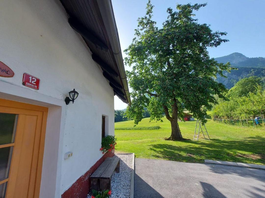 Apartma Stenar Mojstrana Exterior foto