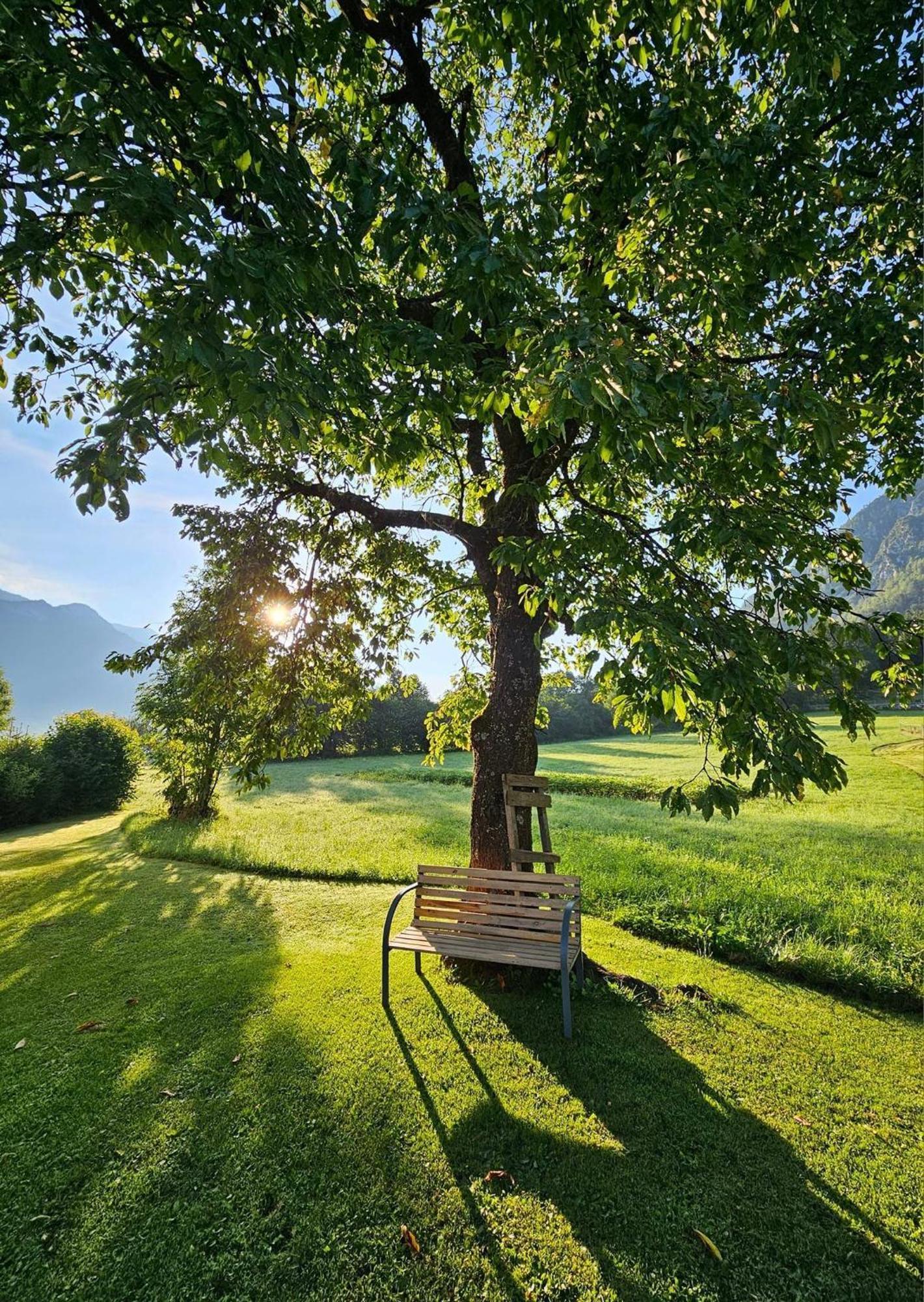 Apartma Stenar Mojstrana Exterior foto