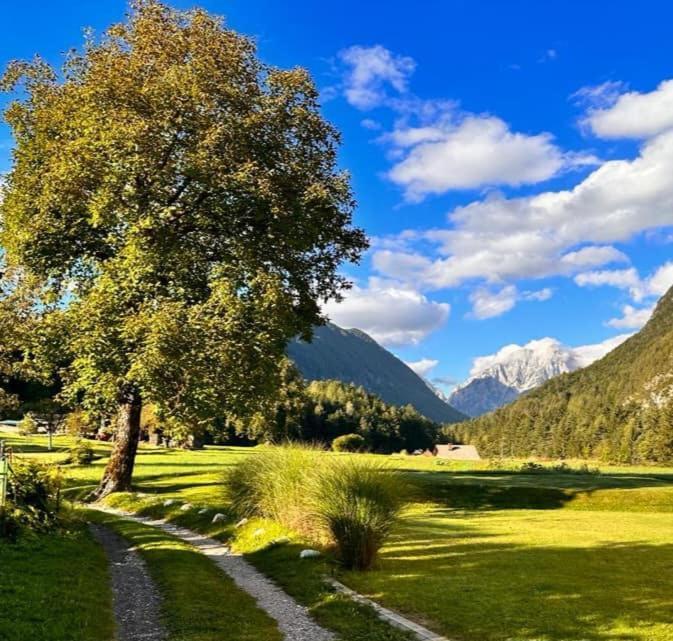 Apartma Stenar Mojstrana Exterior foto