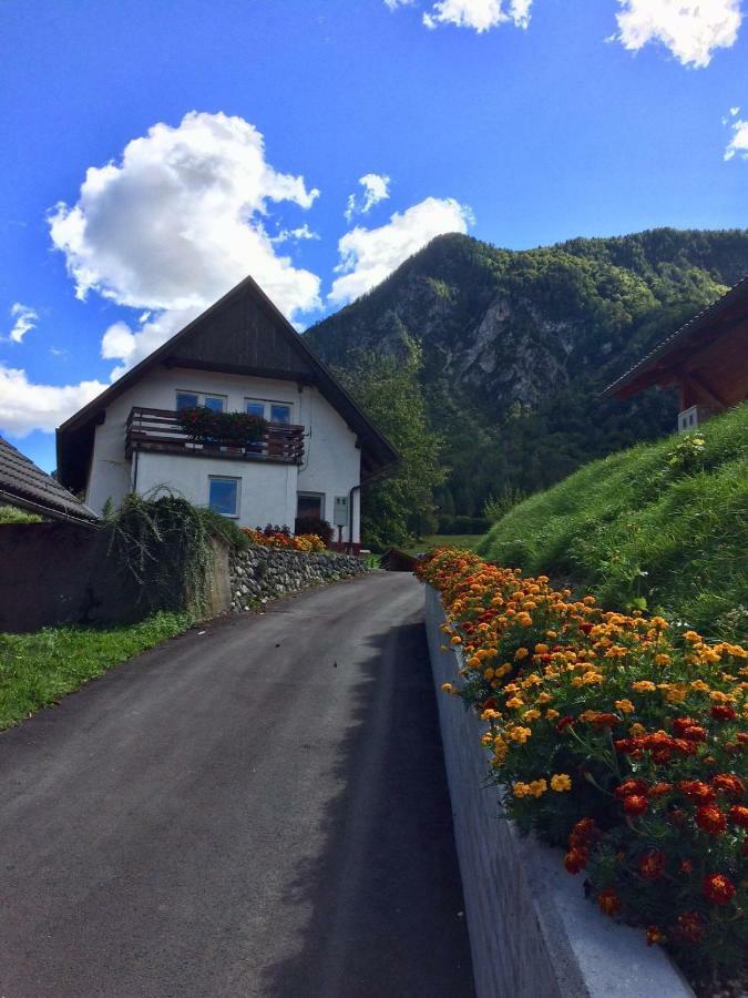 Apartma Stenar Mojstrana Exterior foto