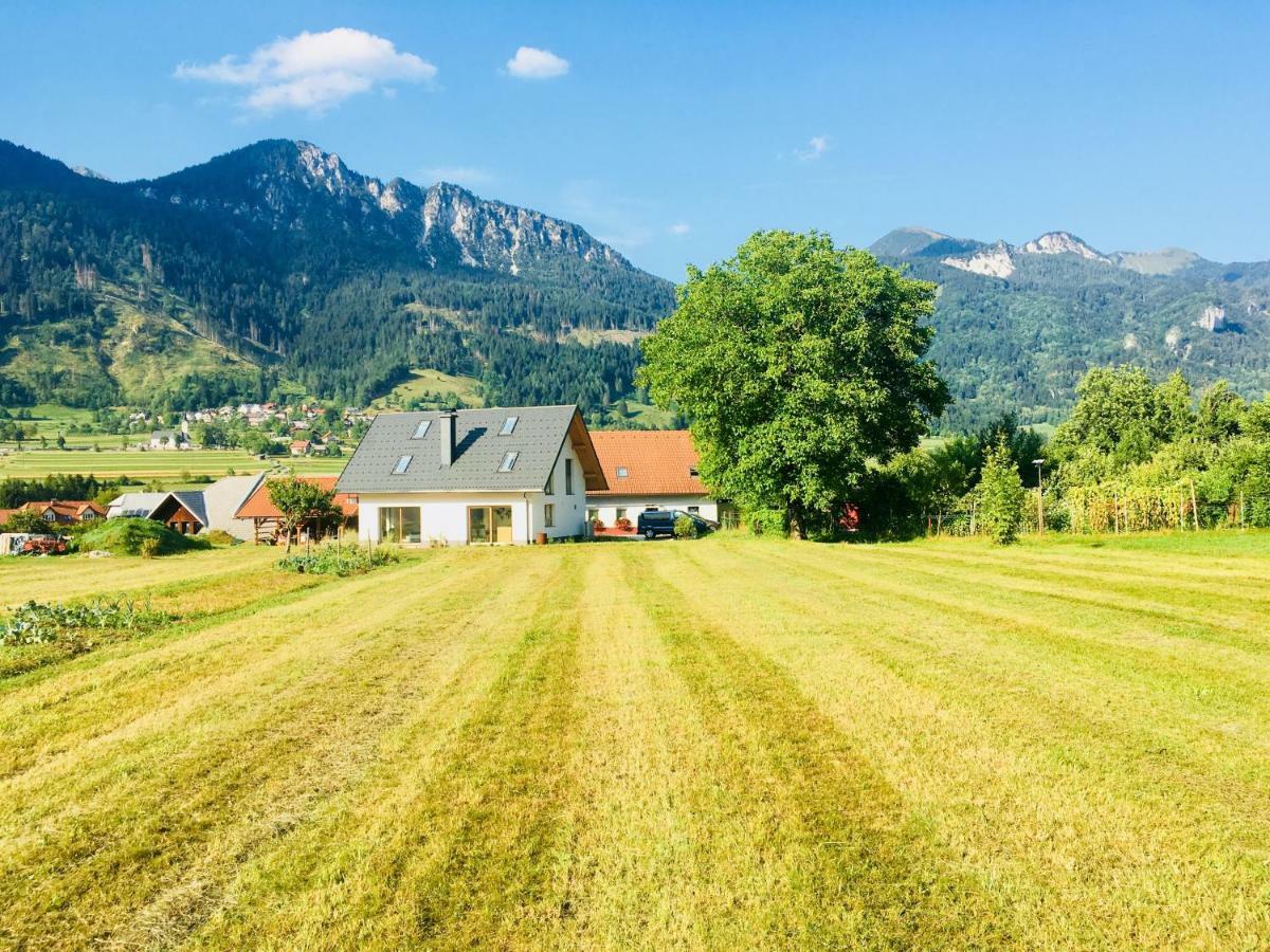 Apartma Stenar Mojstrana Exterior foto